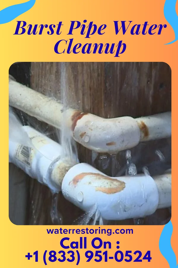 Burst Pipe Water Cleanup in Canton, IL