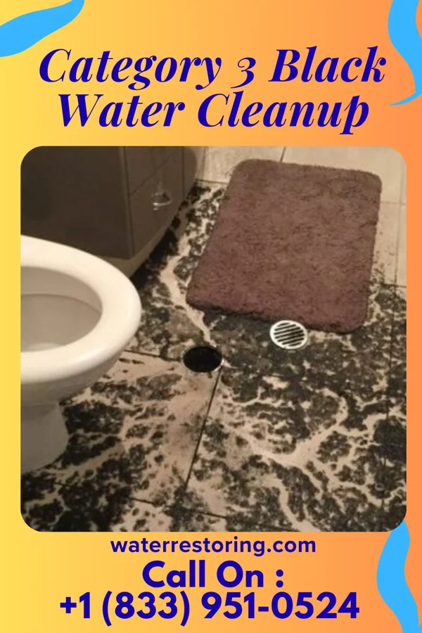 Category 3 Black Water Cleanup in Canton, IL
