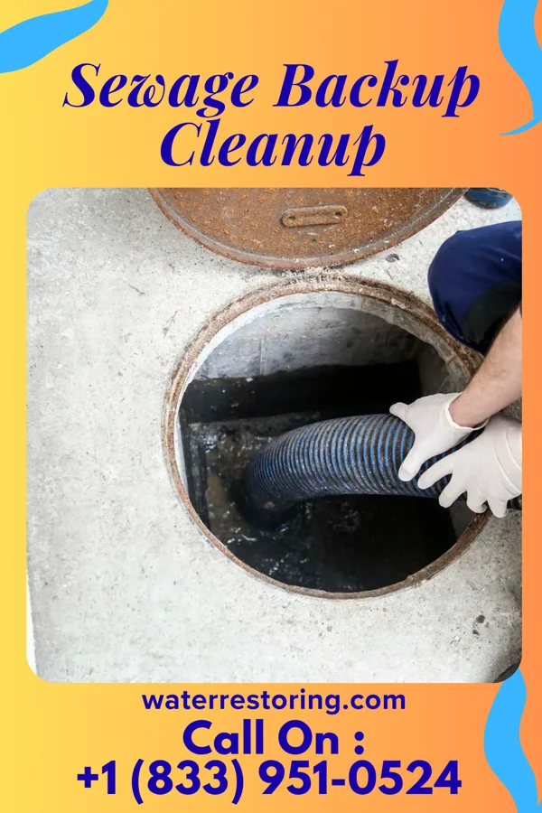 Sewage Backup Cleanup in Canton, IL